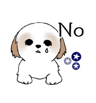 Stickers_Shih Tzu_i シーズースタンプ夏（個別スタンプ：36）