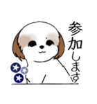 Stickers_Shih Tzu_i シーズースタンプ夏（個別スタンプ：37）