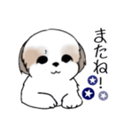 Stickers_Shih Tzu_i シーズースタンプ夏（個別スタンプ：40）