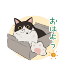 牛猫ギュウの使える(ハズ！)スタンプ（個別スタンプ：37）