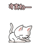 猫ねこにゃんこ その5（白）連絡（社内）（個別スタンプ：5）