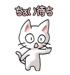 猫ねこにゃんこ その5（白）連絡（社内）（個別スタンプ：13）