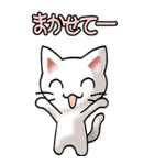 猫ねこにゃんこ その5（白）連絡（社内）（個別スタンプ：16）