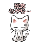 猫ねこにゃんこ その5（白）連絡（社内）（個別スタンプ：24）