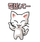 猫ねこにゃんこ その5（白）連絡（社内）（個別スタンプ：37）