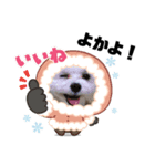 我が家の雪ちゃん 第3弾 博多弁（個別スタンプ：1）