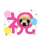 きなち②（個別スタンプ：3）