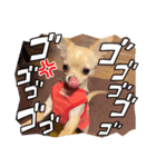 きなち②（個別スタンプ：4）