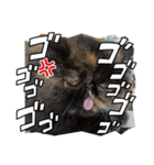 ハナ先輩大集合③'（個別スタンプ：5）
