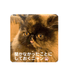 ハナ先輩大集合③'（個別スタンプ：13）