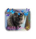 ハナ先輩大集合③'（個別スタンプ：19）