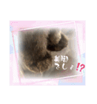 ハナ先輩大集合③'（個別スタンプ：20）