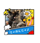 ハナ先輩大集合③'（個別スタンプ：21）