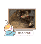 ハナ先輩大集合③'（個別スタンプ：22）