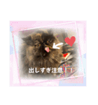 ハナ先輩大集合③'（個別スタンプ：23）