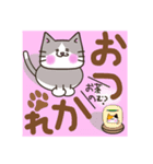 よく使う挨拶 色んな柄の猫【味のある顔】（個別スタンプ：23）