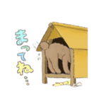 実家のわんこ。（個別スタンプ：9）