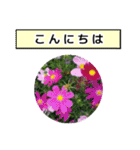 neneのお花敬語あいさつ（個別スタンプ：2）