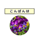 neneのお花敬語あいさつ（個別スタンプ：3）