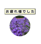 neneのお花敬語あいさつ（個別スタンプ：6）