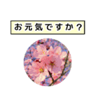 neneのお花敬語あいさつ（個別スタンプ：9）