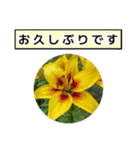 neneのお花敬語あいさつ（個別スタンプ：10）