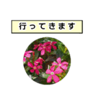 neneのお花敬語あいさつ（個別スタンプ：11）