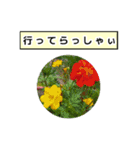 neneのお花敬語あいさつ（個別スタンプ：12）