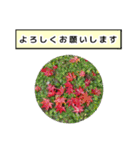 neneのお花敬語あいさつ（個別スタンプ：14）