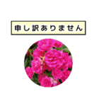 neneのお花敬語あいさつ（個別スタンプ：25）