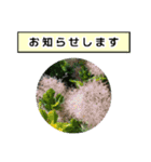 neneのお花敬語あいさつ（個別スタンプ：26）