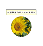 neneのお花敬語あいさつ（個別スタンプ：27）