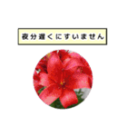 neneのお花敬語あいさつ（個別スタンプ：28）