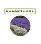 neneのお花敬語あいさつ（個別スタンプ：29）