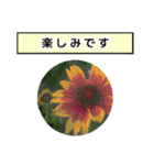 neneのお花敬語あいさつ（個別スタンプ：36）