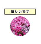 neneのお花敬語あいさつ（個別スタンプ：37）