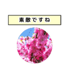 neneのお花敬語あいさつ（個別スタンプ：38）