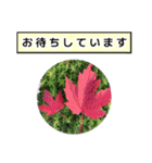 neneのお花敬語あいさつ（個別スタンプ：39）