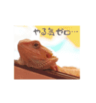 毎日すけすけカレーパン（個別スタンプ：4）