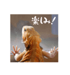 毎日すけすけカレーパン（個別スタンプ：7）
