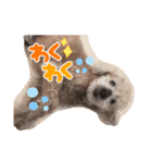 アリキ（個別スタンプ：5）