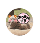 アリキ（個別スタンプ：6）