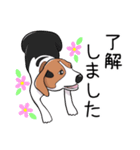 ビーグル犬 メル（個別スタンプ：2）