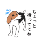 ビーグル犬 メル（個別スタンプ：7）