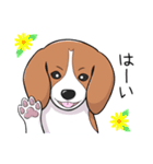 ビーグル犬 メル（個別スタンプ：8）