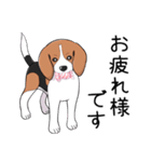 ビーグル犬 メル（個別スタンプ：13）