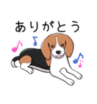 ビーグル犬 メル（個別スタンプ：17）