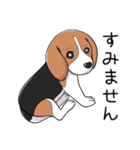 ビーグル犬 メル（個別スタンプ：21）