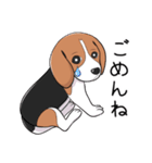 ビーグル犬 メル（個別スタンプ：22）