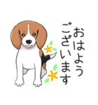 ビーグル犬 メル（個別スタンプ：24）